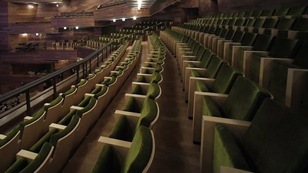 Семьи ветеранов СВО смогут бесплатно ходить в кино и театры в Приморье: как получить билеты